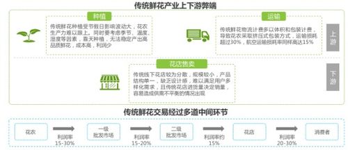 花花世界 從“禮品花”到“日常花”，看鮮花零售業(yè)的華麗轉(zhuǎn)身