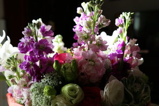 紙間花香 創(chuàng)意紙質(zhì)鮮花，獻(xiàn)給親人生日的獨(dú)特禮物